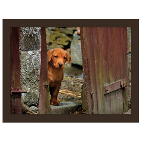 iStyle Fox Red Lab Lap Tray Rural Roots
