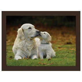 iStyle Golden Retrievers Lap Tray Rural Roots