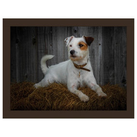 iStyle Jack Russell Lap Tray Rural Roots