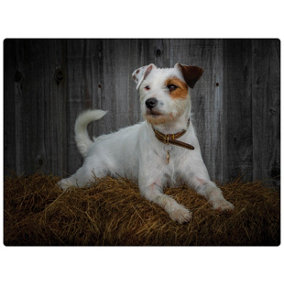 iStyle Jack Russell Worktop Saver Rural Roots