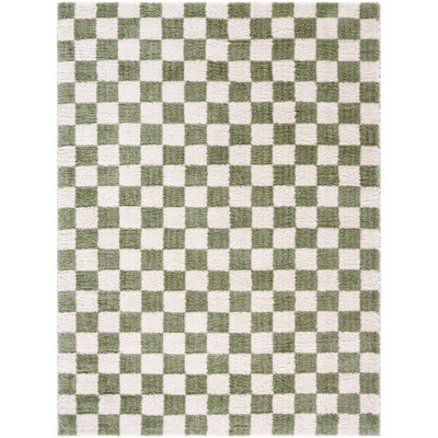 IZALINE Machine Washable Modern Shaggy Grass Green Area Rug 160 x 213 cm