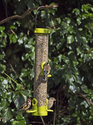 Jacobi Jayne Flo Seed Feeder Mediumium 4 Port 405mm