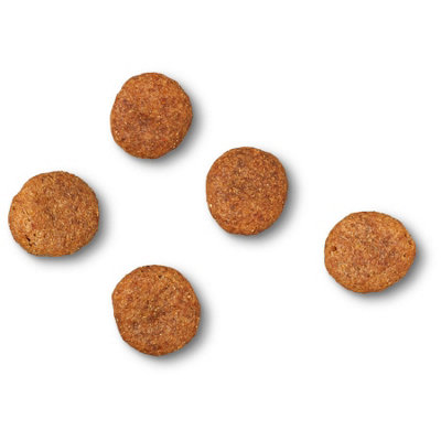 Photo inspiration: Fresh Look at James Wellbeloved Adult Dog Senior Grain Free Turkey Kibble Dog