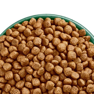 Picture Idea: James Wellbeloved Adult Small Breed Grain Free Turkey Kibble Dog