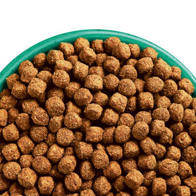 James Wellbeloved Senior Dog Hypoallergenic Kalkoen & Rijst ▻ Pak je voordeel vandaag nog