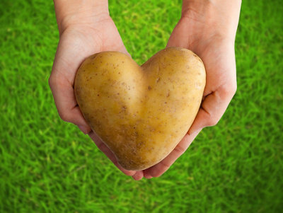 Jamieson Brothers 5 Potato Planter Bags - 5