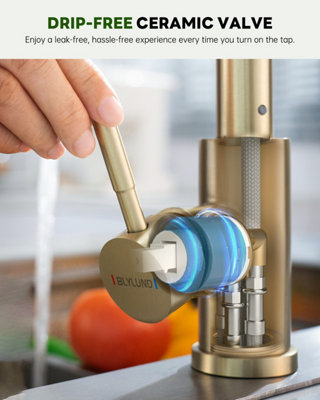 JANLEMNY Brushed Gold Kitchen Tap with Pull-Down Sprayer, Stainless Steel Kitchen Sink Mixer Faucets with 3 Modes High Arch