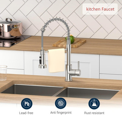 JANLEMNY Spring Kitchen Tap with Pull Out Sprayer, Stainless Steel ...