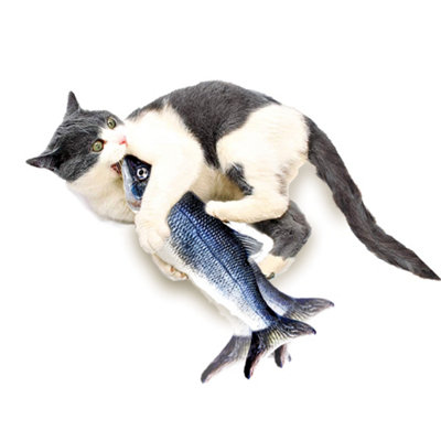 https://media.diy.com/is/image/KingfisherDigital/jml-flippity-fish-the-cat-toy-that-flips-flops-and-wiggles-~5057693029844_01c_MP?$MOB_PREV$&$width=618&$height=618