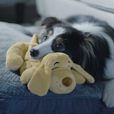 JML Huggie Pup The warm comforting pet companion with a heartbeat