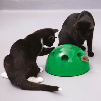 Jml shop cat toy