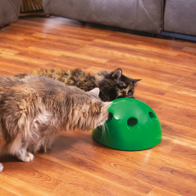 Pop and play cat toy reviews best sale