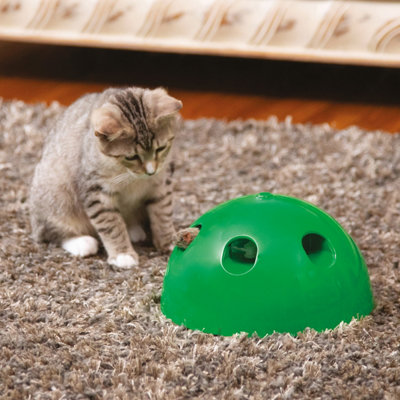 Pop n play cat toy reviews hotsell