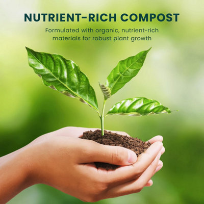 John Innes Seed Sowing Compost 35L Nutrient Balanced Seed Compost Mix ...