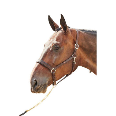 John Whitaker Whitaker Surfaix élastique pour Cheval et
