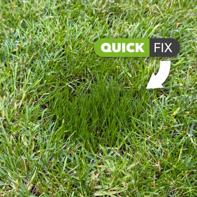 Johnsons Lawn Seed Quick Fix With Growmore 425g 14m2 - Fast Lawn Repair ...