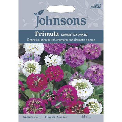 Johnsons Primula Drumstick Mixed Flower Seeds