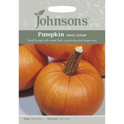 Johnsons Pumpkin Small Sugar Seeds