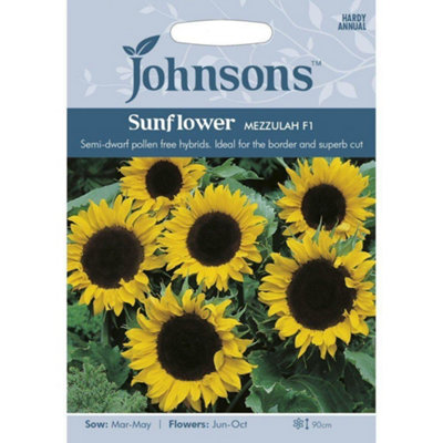 Johnsons Sunflower Mezzulah F1 Seeds
