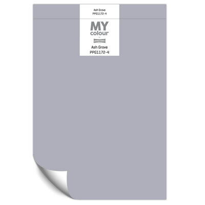 Johnstone's My Colour Durable Matt Paint Ash Grove - Peel and Stick Sample