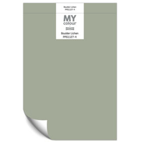 Johnstone's My Colour Durable Matt Paint Boulder Lichen - Peel and Stick Sample
