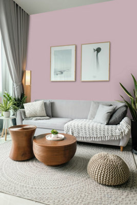 Johnstone's Trade Acrylic Durable Eggshell Walls & Ceilings Emulsion Paint Rose Stain (PPG1048-4) 5L