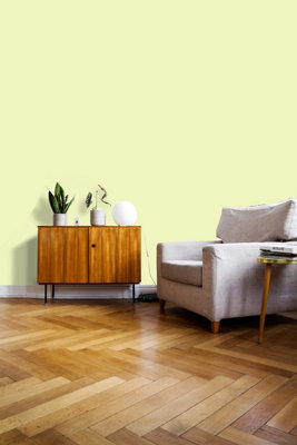 Johnstone's Trade Acrylic Durable Eggshell Walls & Ceilings Emulsion Paint (S 0520-G60Y) 5L