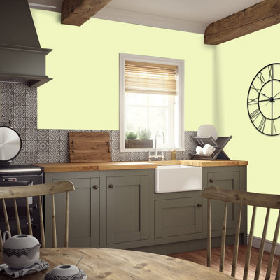 Johnstone's Trade Acrylic Durable Eggshell Walls & Ceilings Emulsion Paint (S 0520-G60Y) 5L