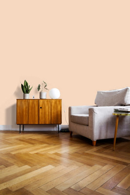Johnstone's Trade Acrylic Durable Eggshell Walls & Ceilings Emulsion Paint (S 1015-Y60R) 5L
