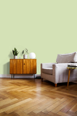 Johnstone's Trade Acrylic Durable Eggshell Walls & Ceilings Emulsion Paint (S 1020-G40Y) 5L