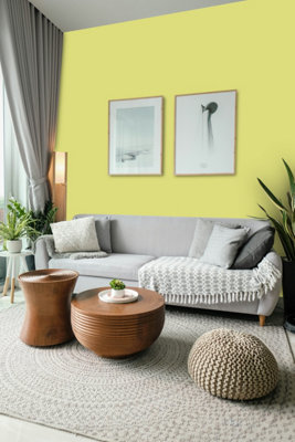 Johnstone's Trade Acrylic Durable Eggshell Walls & Ceilings Emulsion Paint (S 1040-G70Y) 2.5L