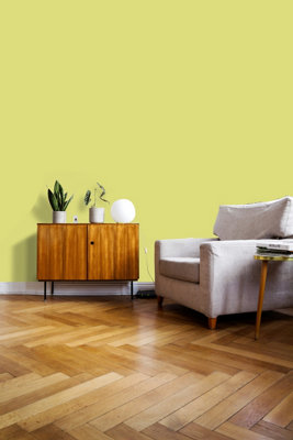 Johnstone's Trade Acrylic Durable Eggshell Walls & Ceilings Emulsion Paint (S 1040-G70Y) 2.5L