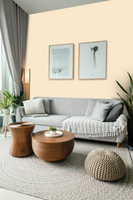Johnstone's Trade Vinyl Soft Sheen Walls & Ceilings Emulsion Paint (S ...