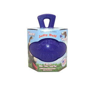 Jolly Pets Dual Jolly Ball Purple (8 inches)