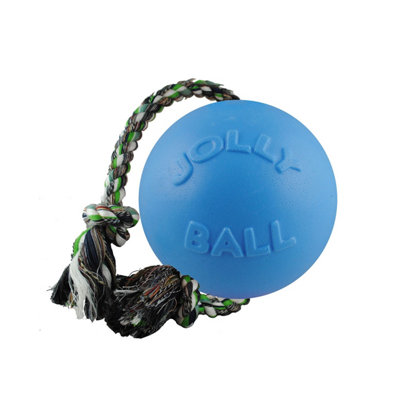 Jolly Pets Romp-N-Roll Dog Ball Blueberry (4.5in)