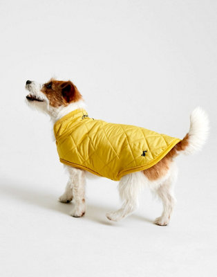 Joules Antique Gold Quilted Dog Coat, Large DIY at B&Q