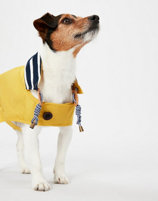 Gold best sale dog coat