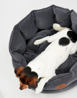 Chesterfield hotsell dog bed