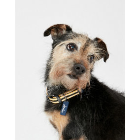 Joules Coastal Dog Collar, Navy and Yellow Stripe, Large