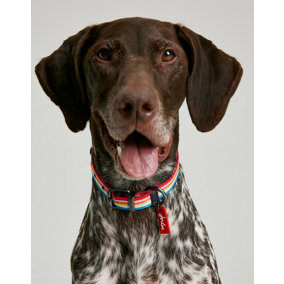 Joules Rainbow Stripe Dog Collar, Large
