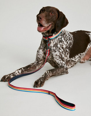 Joules Rainbow Stripe Dog Lead Price Comparisons | Compare The Build