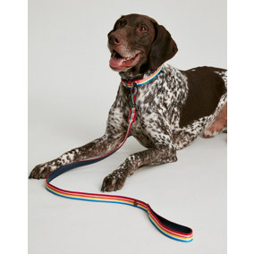 Joules Rainbow Stripe Dog Lead