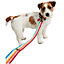 Joules Rainbow Striped Dog Lead Multicoloured (One Size)