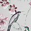 Julien MacDonald Utopia Tropical Floral Grey Wallpaper