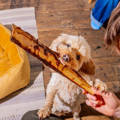 Jumbo Beef Ribs for Dogs (1pc) 100% British Beef
