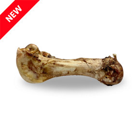 Jumbo Ostrich Bones (1pc) Hypoallergenic & Long Lasting Dog Treat
