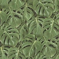 Jungle Exotic Tropical Leaves Palm Tree Wallpaper Paste The Wall Vinyl Green
