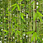 Jungle Tropical Rainforest Wallpaper Trees Flowers Floral Bamboo Green Vinyl