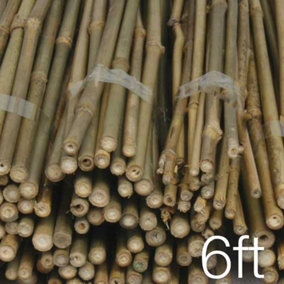 JVL Natural Bamboo Garden Canes, Brown, 183 cm