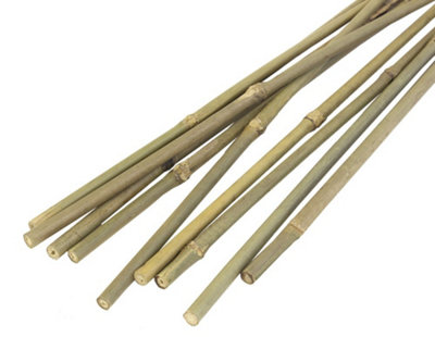 JVL Natural Bamboo Garden Canes, Brown, 61 cm